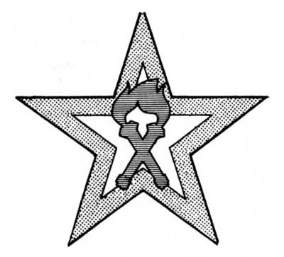 A grey-scale logo of a five-pointed star with a torch in the centre.