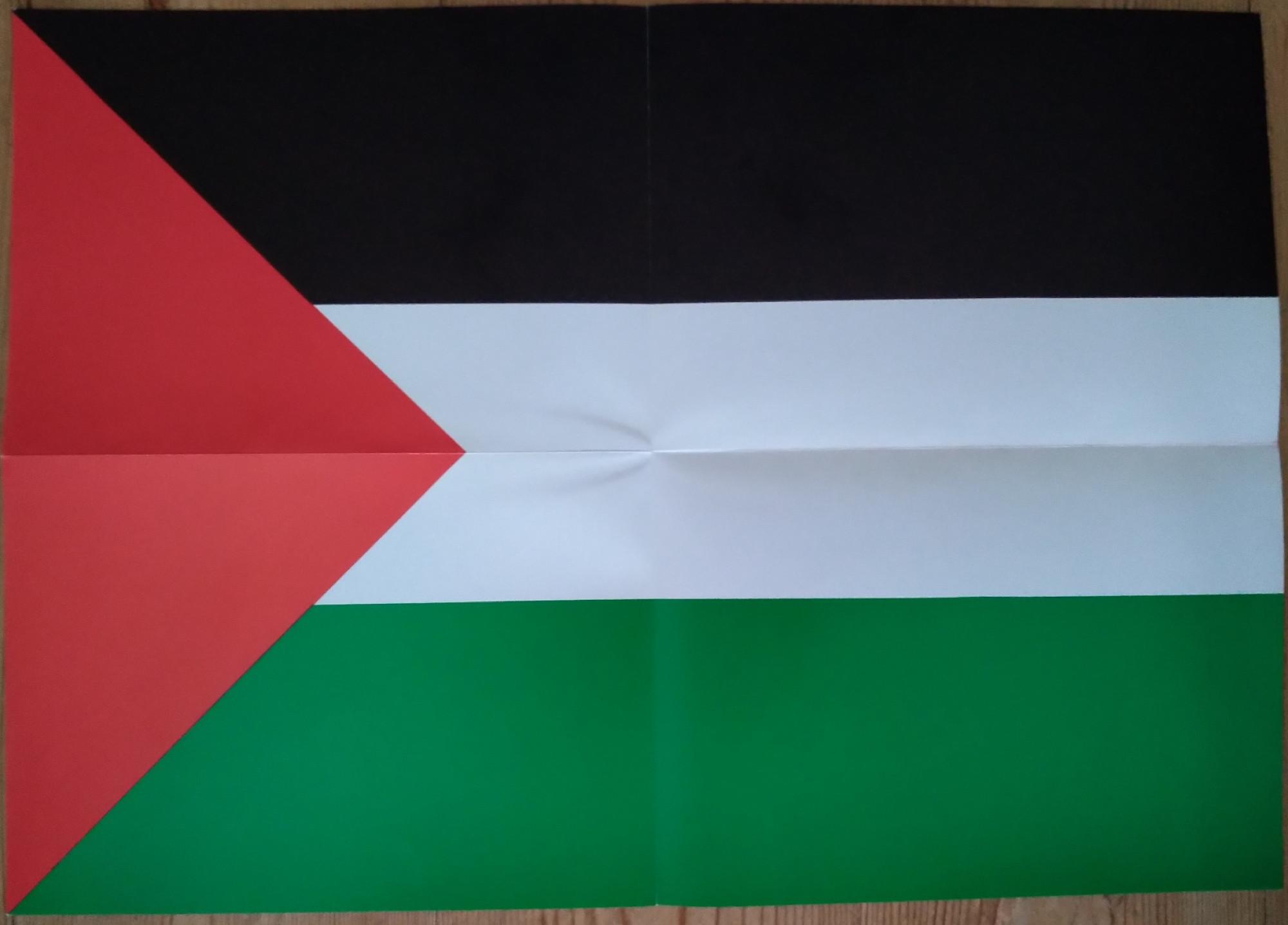 The flag of Palestine, printed on a folded out leaflet.