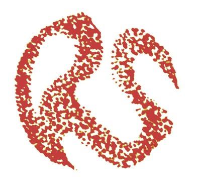 The logo of Revolutionary Struggle: the letters 'RS' in red in a stylised, speckled font.