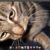 @linuxgnome@todon.eu