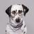 @bizzl@meow.social